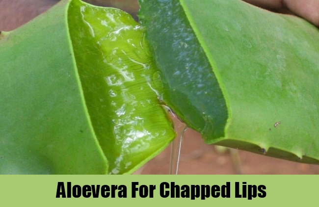 Aloevera For Chapped Lips