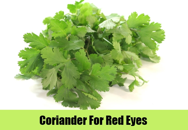 Coriander For Red Eyes
