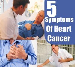 5 Common Heart Cancer Symptoms - Various Signs Of Heart Diseases ...