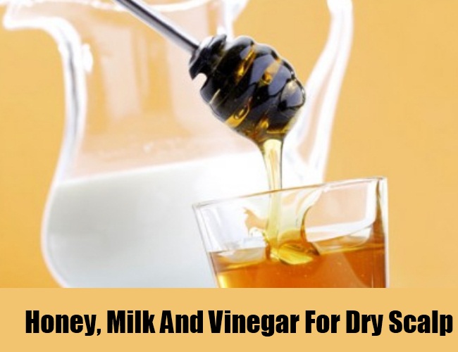 Honey, Milk And Vinegar For Dry Scalp