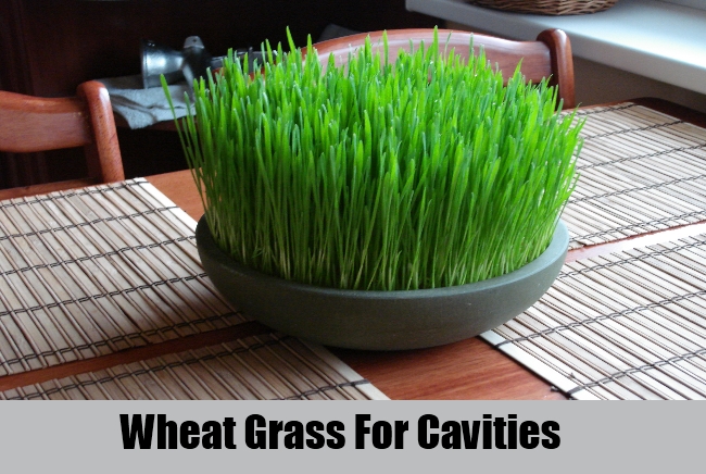 Wheat Grass For Cavities