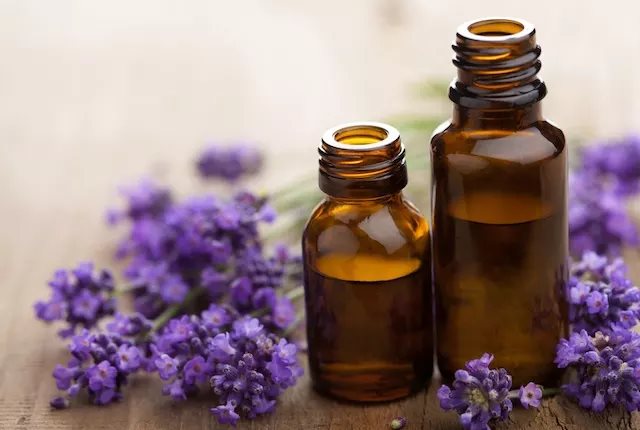 Inhale Lavender Oil In Water